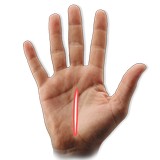 hand